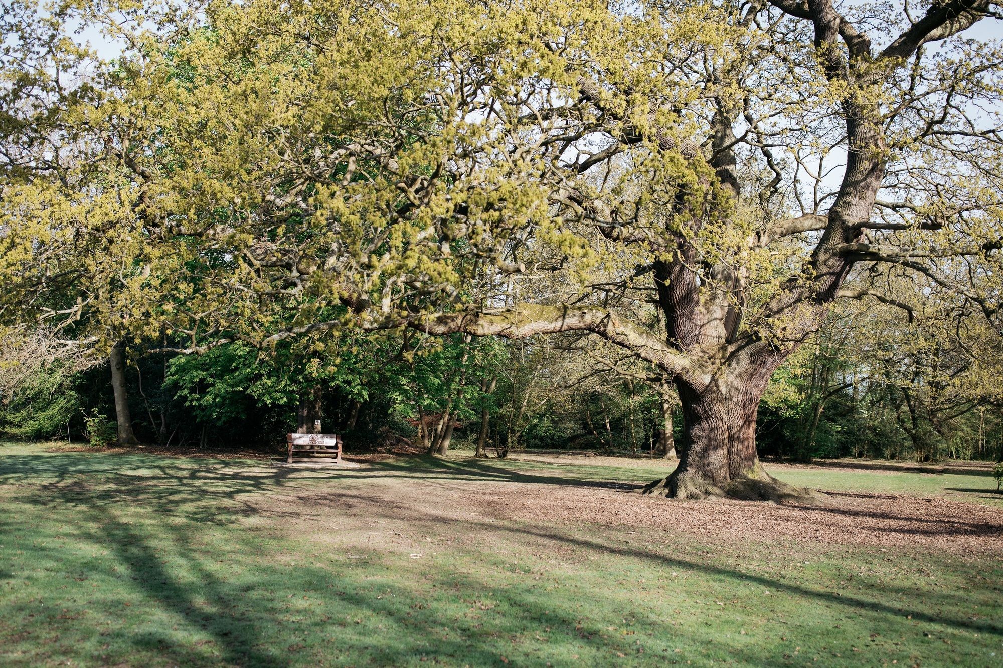 Gilwell Park Hotel Chingford Exterior photo